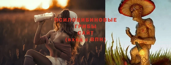 ALPHA PVP Алексеевка