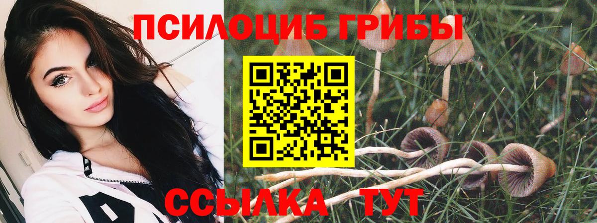 Галлюциногенные грибы мицелий Прохладный